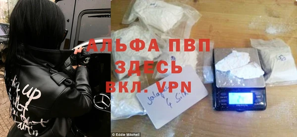 прущие грибы Осташков