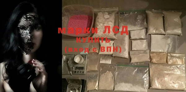 прущие грибы Осташков