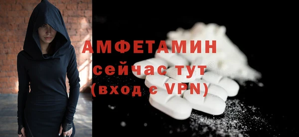 прущие грибы Осташков