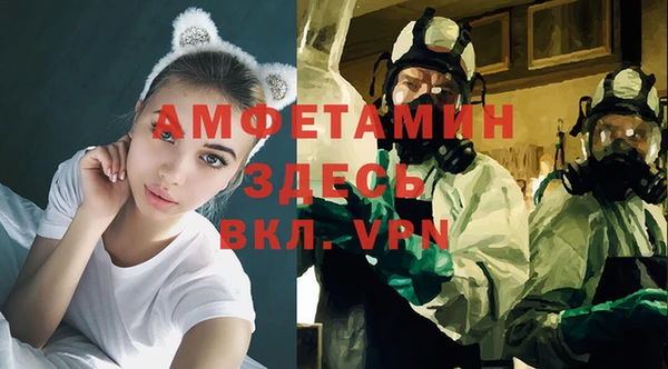 прущие грибы Осташков