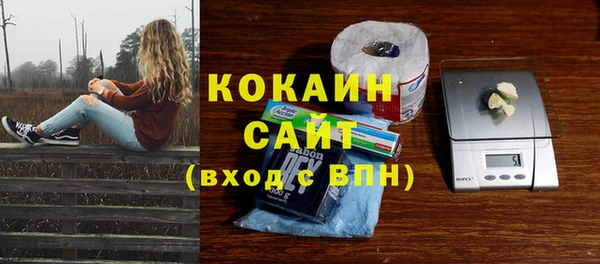 прущие грибы Осташков
